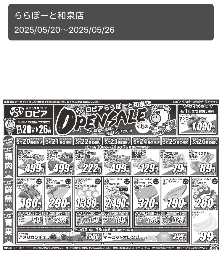 2025年4月25日にオープンした、ロピアららぽーと和泉店( 大阪府 )のオープンセール第5弾のチラシ表面