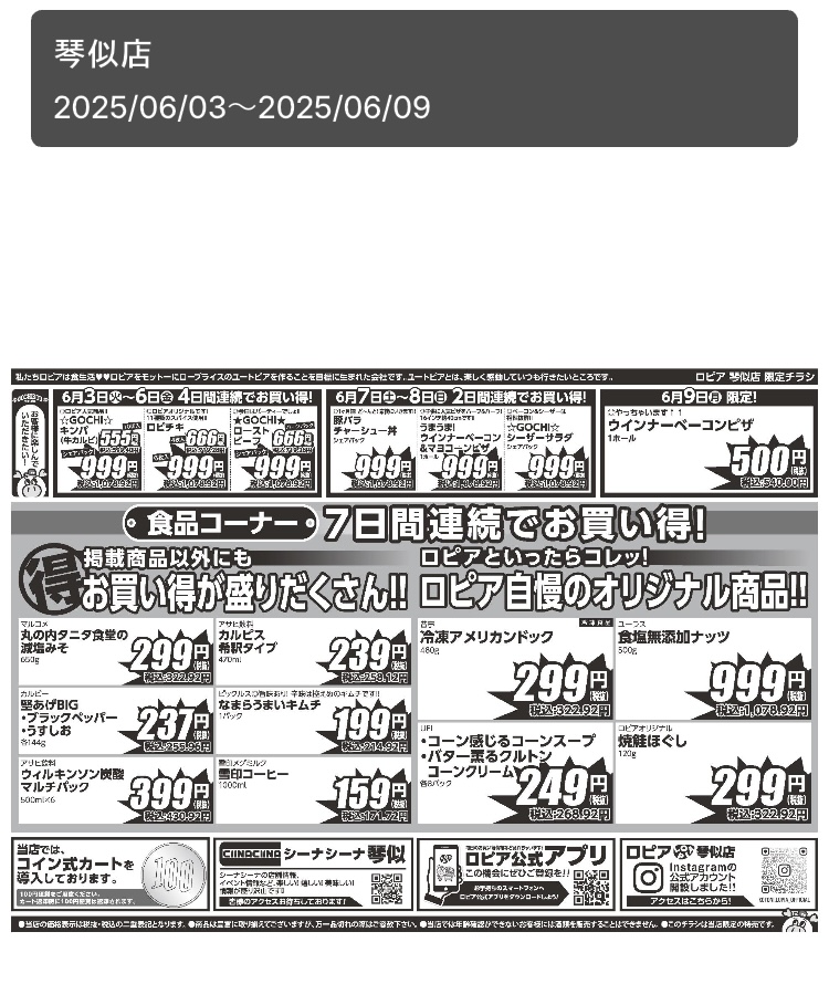 2025年5月8日にオープンした、ロピア琴似店( 北海道 )のオープン1ケ月祭のチラシ裏面