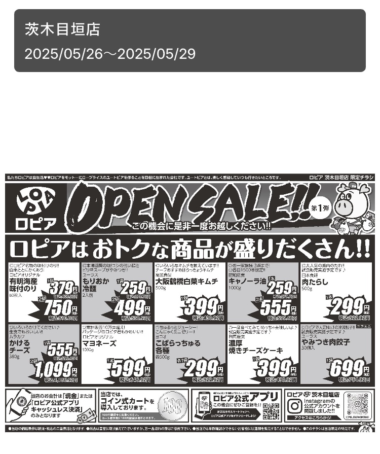 ロピアの公式アプリ「ロピタ」のチラシの画面裏面の写真